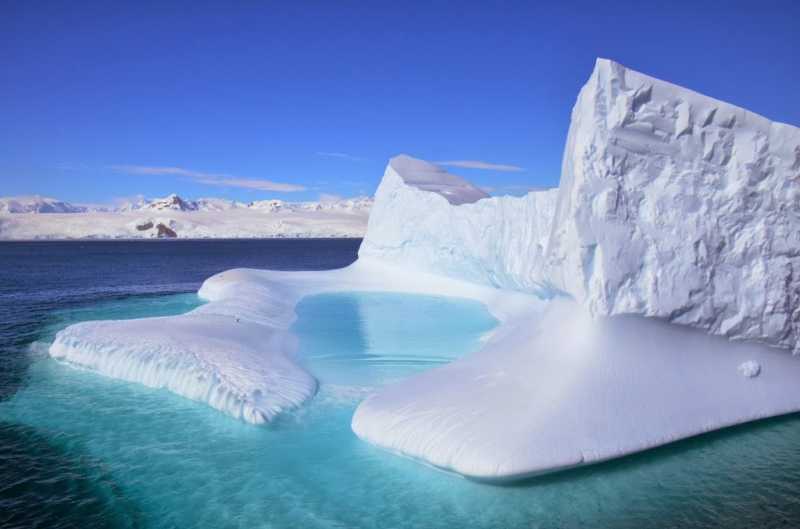 The Antarctica Chronicle