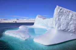 The Antarctica Chronicle