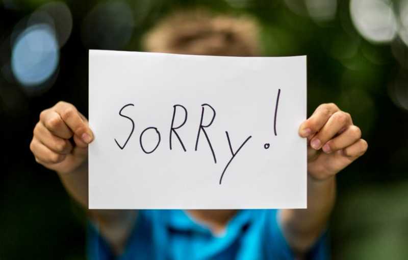 The Art Of Apology