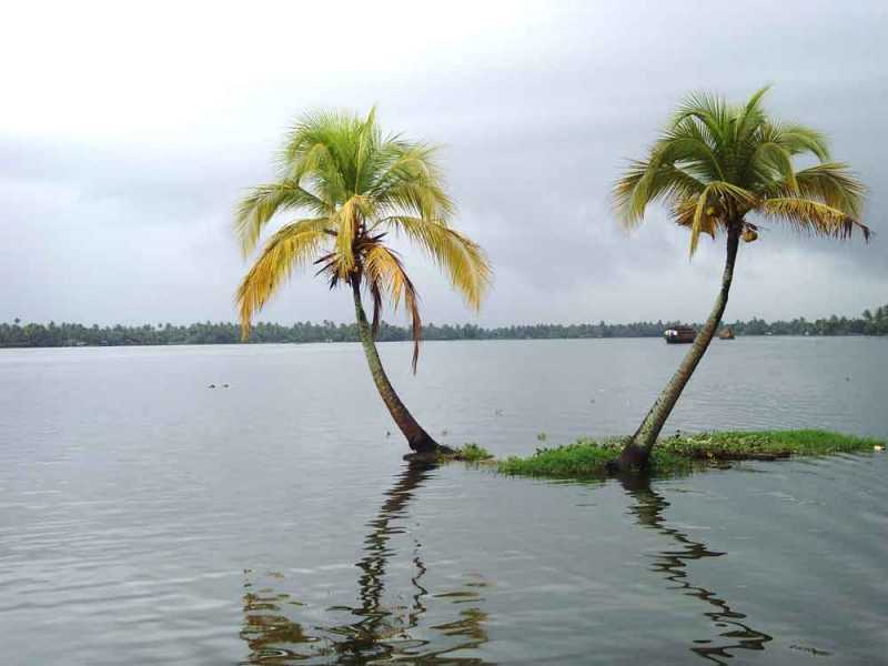 The Back Water Mystery.