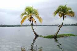 The Back Water Mystery.