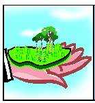 The Baseless Development