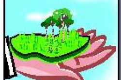 The Baseless Development