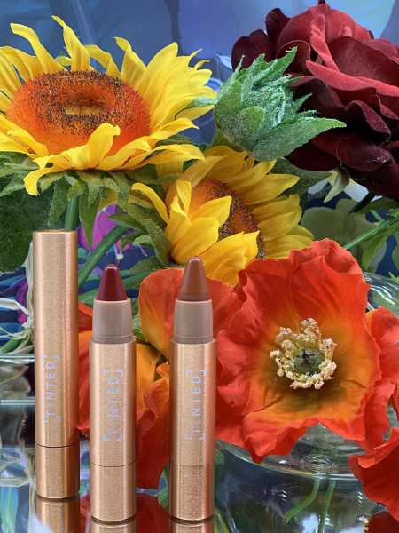 The Beauty Gypsy Review: Deepica Mutyala