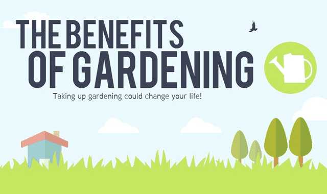 The Benefits Of Gardening