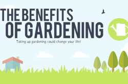 the benefits of gardening
