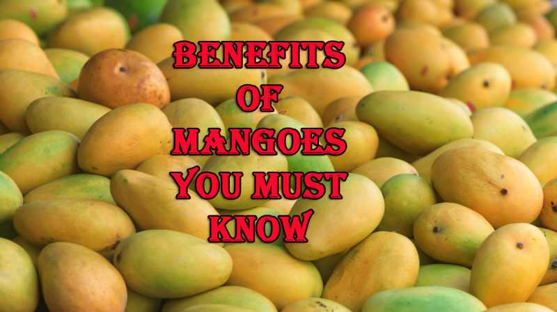 The Benefits Of Mango