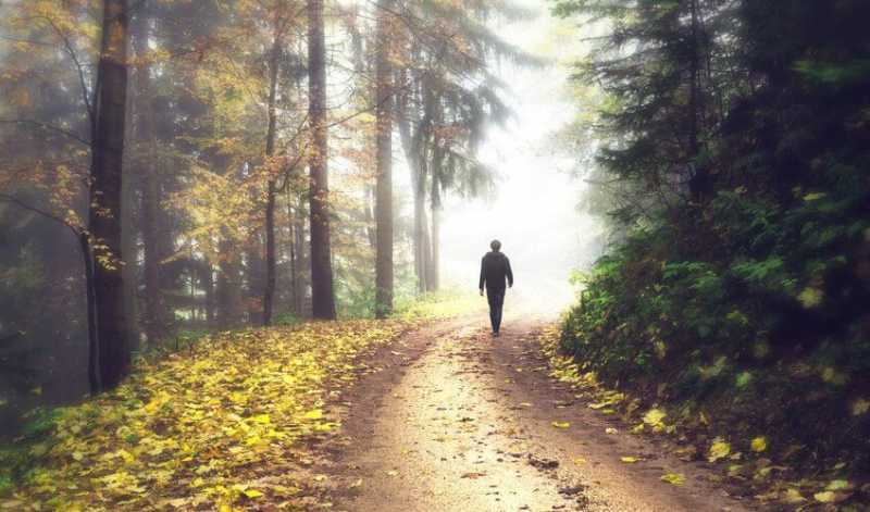 The Benefits Of Taking A Walk In Nature