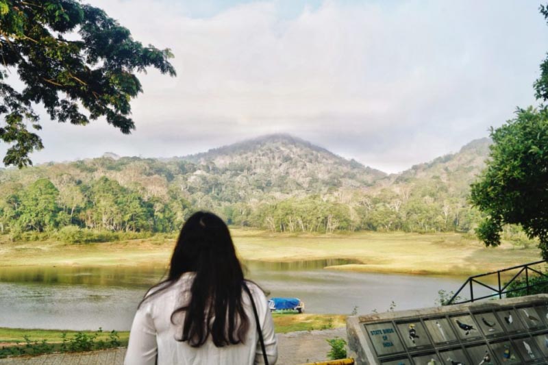 The Best Of Thekkady | Kalaripayattu, Kumily And Periyar National Park