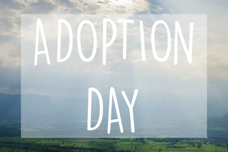 The Bhardwaj Life: Adoption Day!