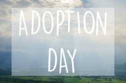 The Bhardwaj Life: Adoption Day!