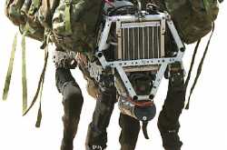 The Big Dog Is On The Prowl.