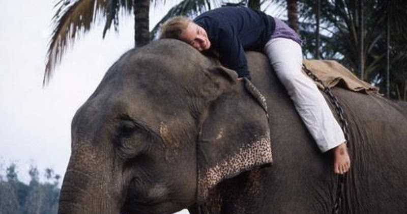 The Blind Girl On An Elephant