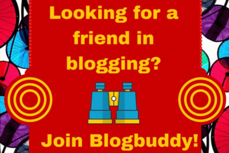 The Blogbuddy Experience