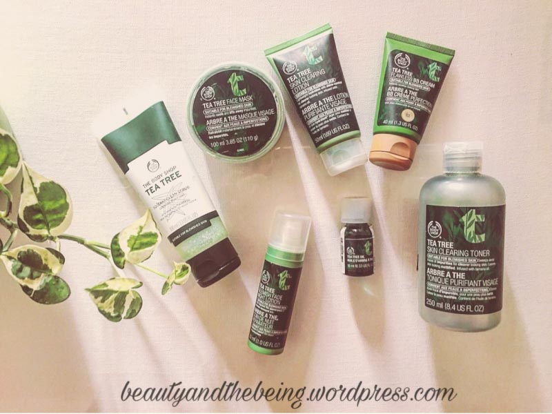The Body Shop Tea Tree Skin Care Range | Mini Review