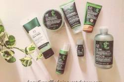 The Body Shop Tea Tree Skin Care Range | Mini Review