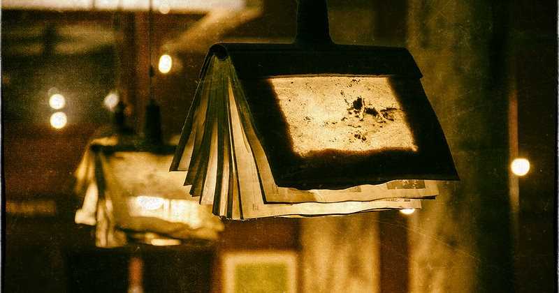 The Book Of Perhapses