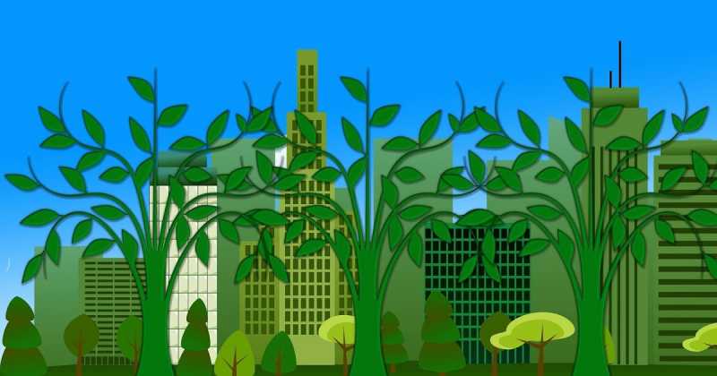 The Boon And The Curse Of Scientific Advancement 