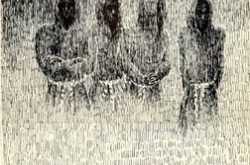 The Brotherhood of The Horns...