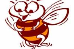 The Busy Bee With A Pot Belly