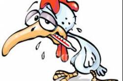 the chronicles of chickenpox