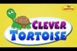 The Clever Tortoise and Foolish Fox Story English Short Stories For Children