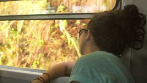 The Co Passenger ( Concluding Part)