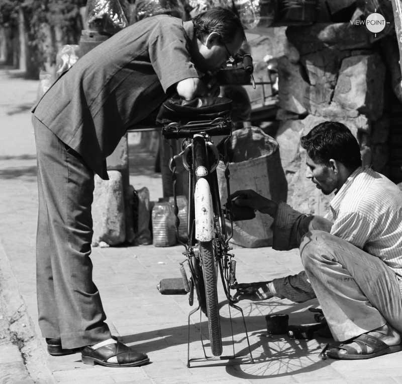 The Cycle Of Curiosity