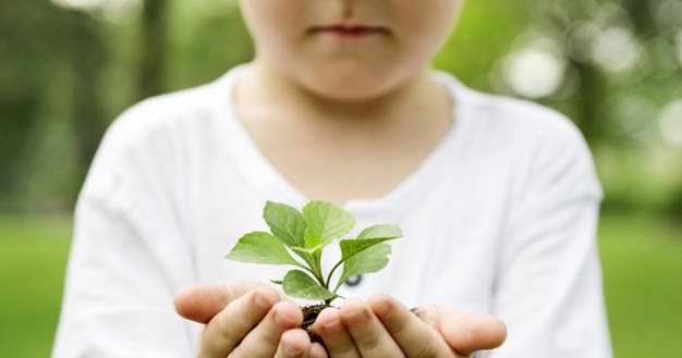 The Cycle Of Kindness 