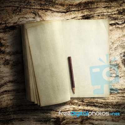 The Diary From Window-A Short Story