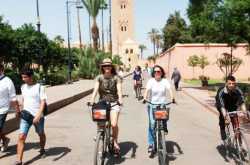 The Different Districts Of Marrakech