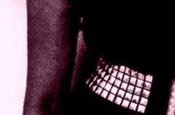 The Drinking, The Dancing and All That Jazz (Mila)