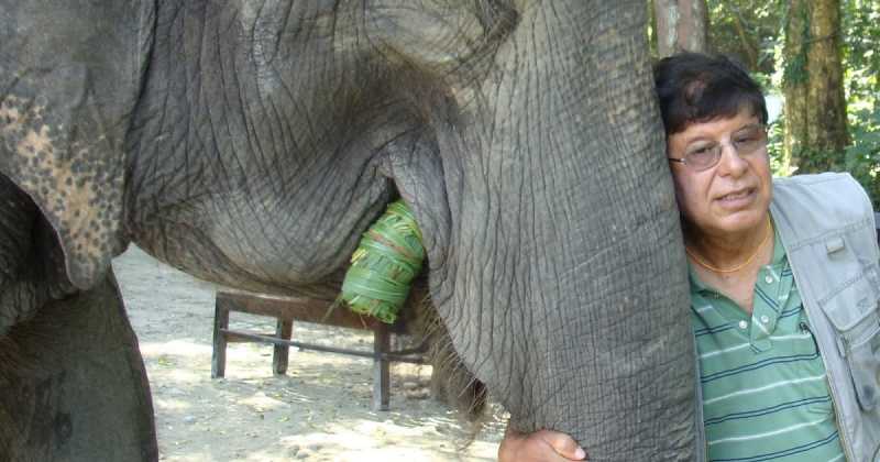 The Elephanta Suite - As Fascinating As A Mammoth On The Mumbai Marina Beach