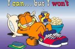 The End Of Indolence