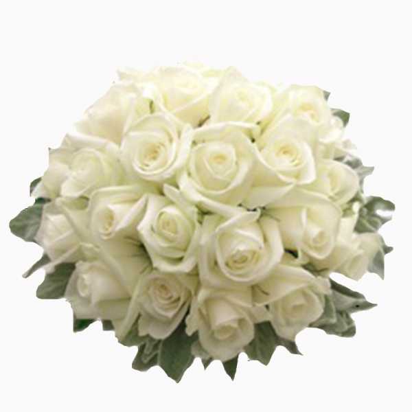 The Evergreen Way To Spread Happiness - Flower Delivery Online In Bangalore