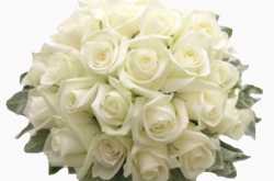 The Evergreen Way to spread happiness - Flower delivery Online in Bangalore