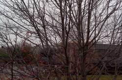 The Fall..and the Despondency!