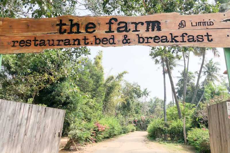 The Farm Chennai : A Rare And Rustic Farm To Table Experience In South India