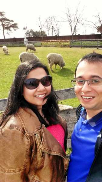 The Fascinating World Of Ford