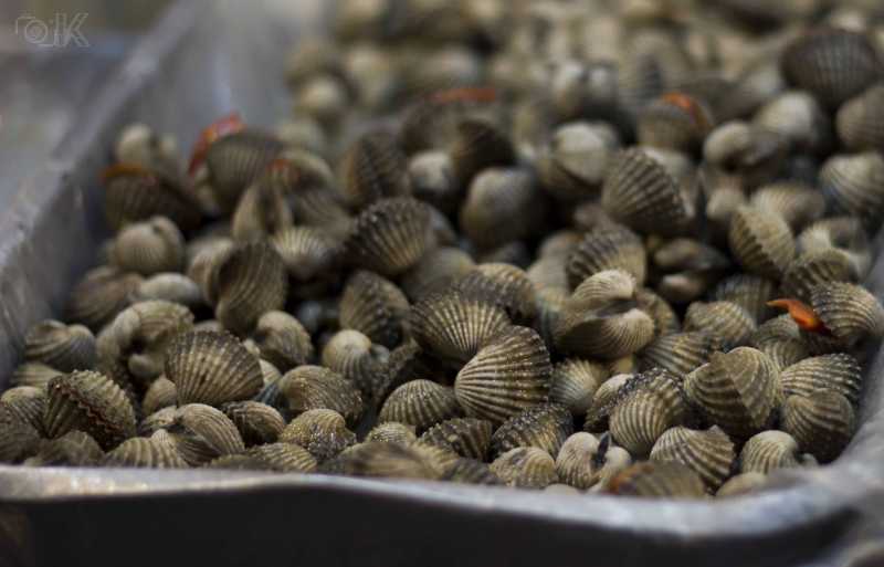 The First Day Fun With Food! #6 - Thoughts Thru Lens