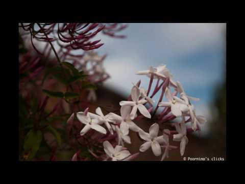 The First Day Of Spring