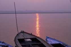 The French Connection