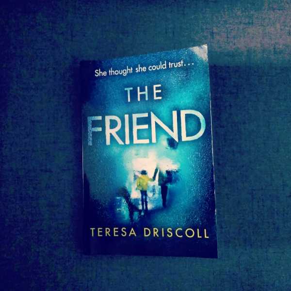 The Friend By Teresa Driscoll