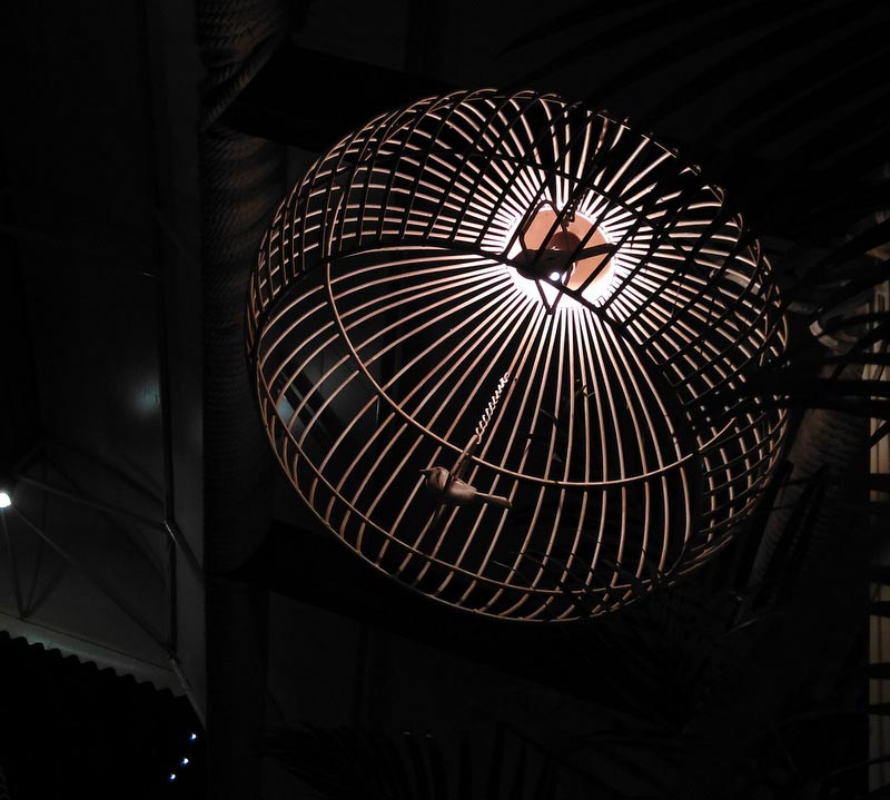 The Funky Kona, Baner