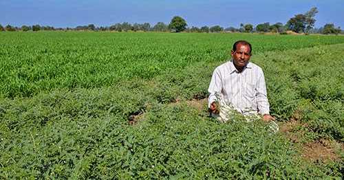 The Ghosts Of  Bhopal - Part Two