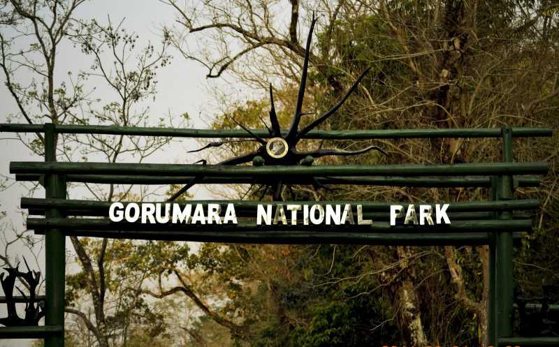The Gorumara National Park !