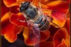 The Greener Side Of Life