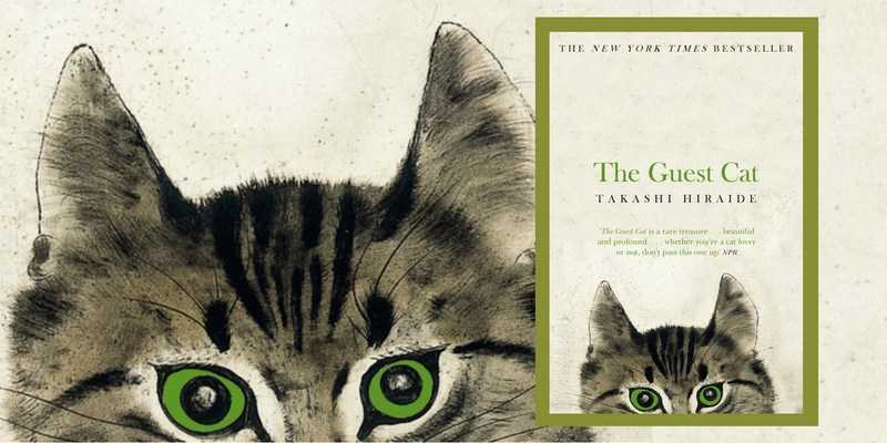 The Guest Cat By Takashi Hiraide | Book Bites | A Nosh Of Life