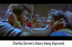 The Honourary Member