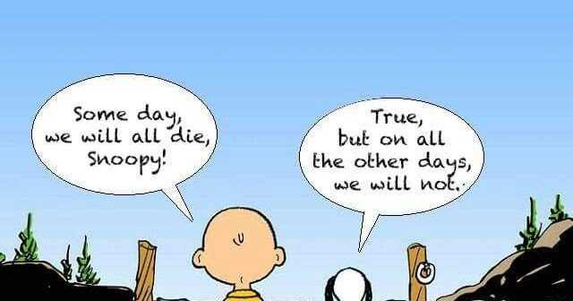 The Journey Is More Beautiful Than The Destination - A List Of Questions